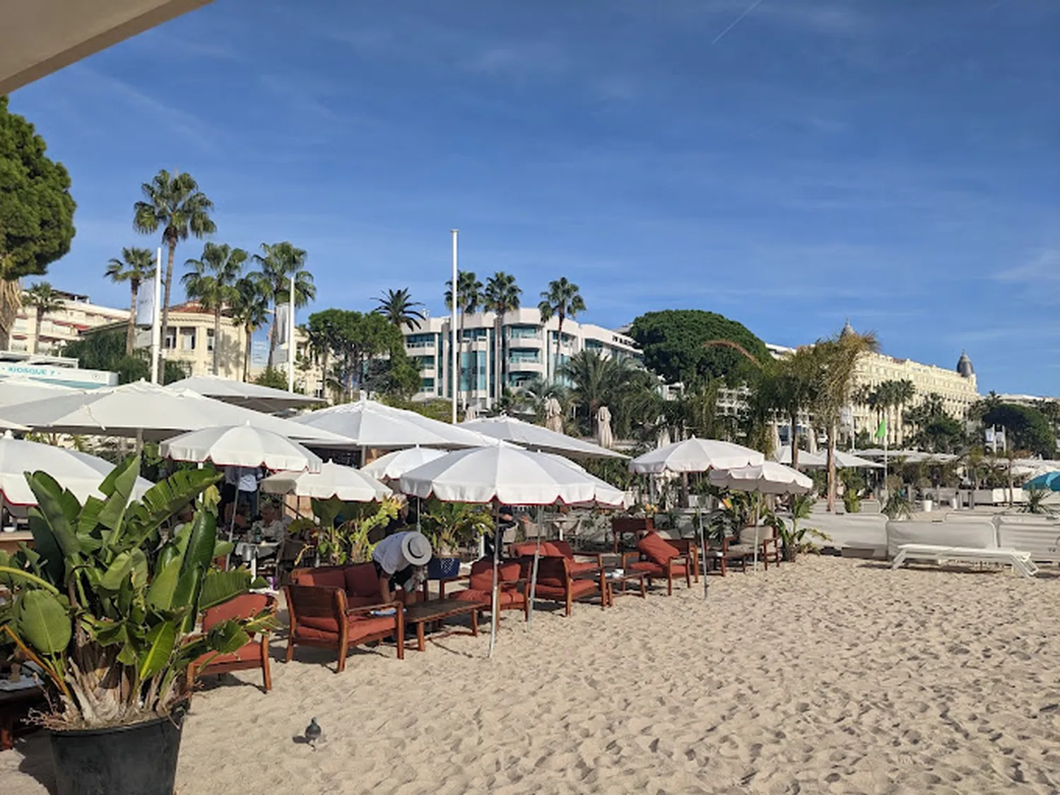 C Beach Restaurant Cannes