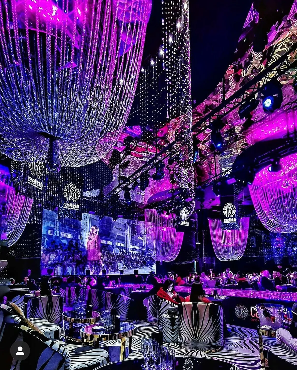 Cavalli nightclub Dubaï