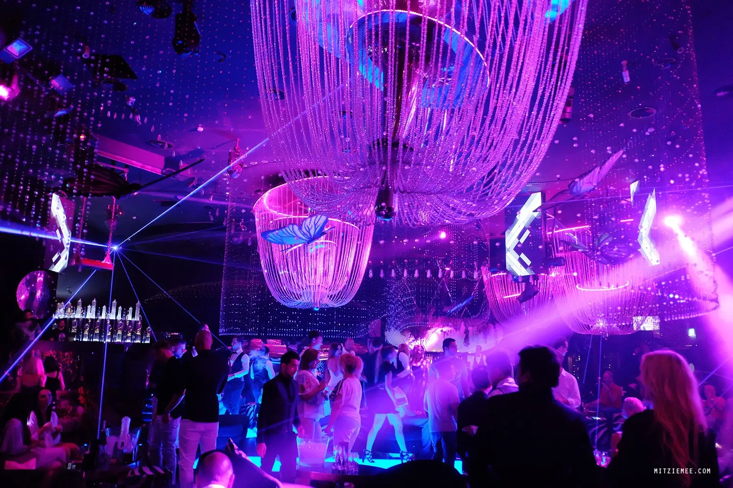 Cavalli nightclub Dubaï