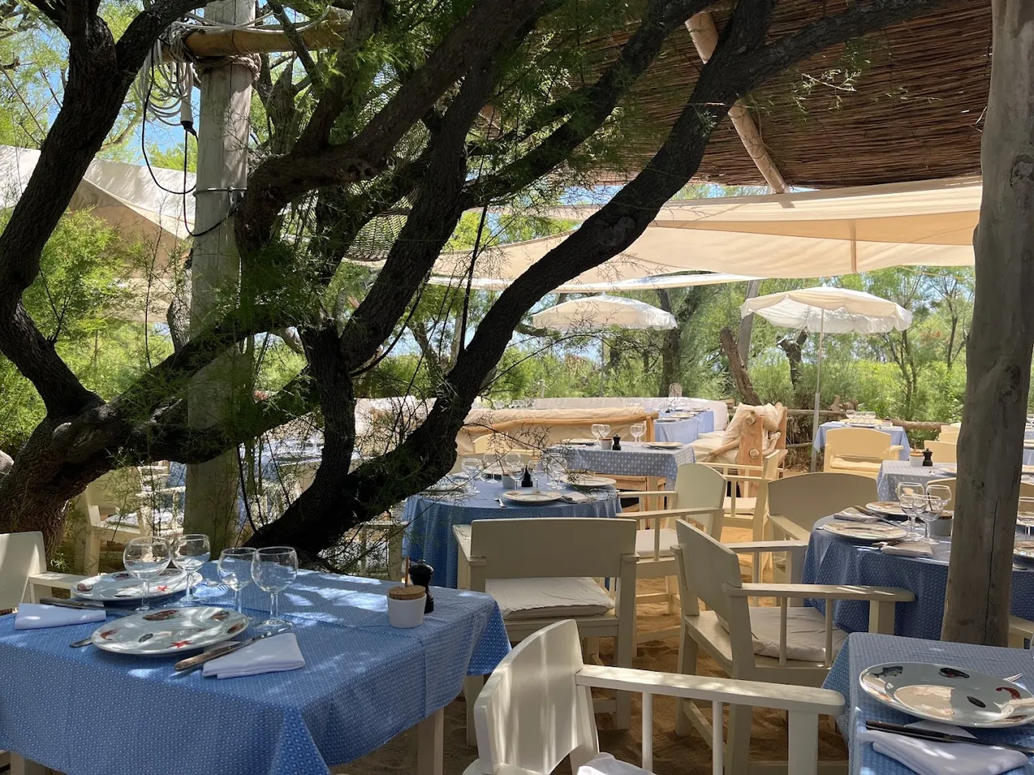 Le Club 55 restaurant Ramatuelle