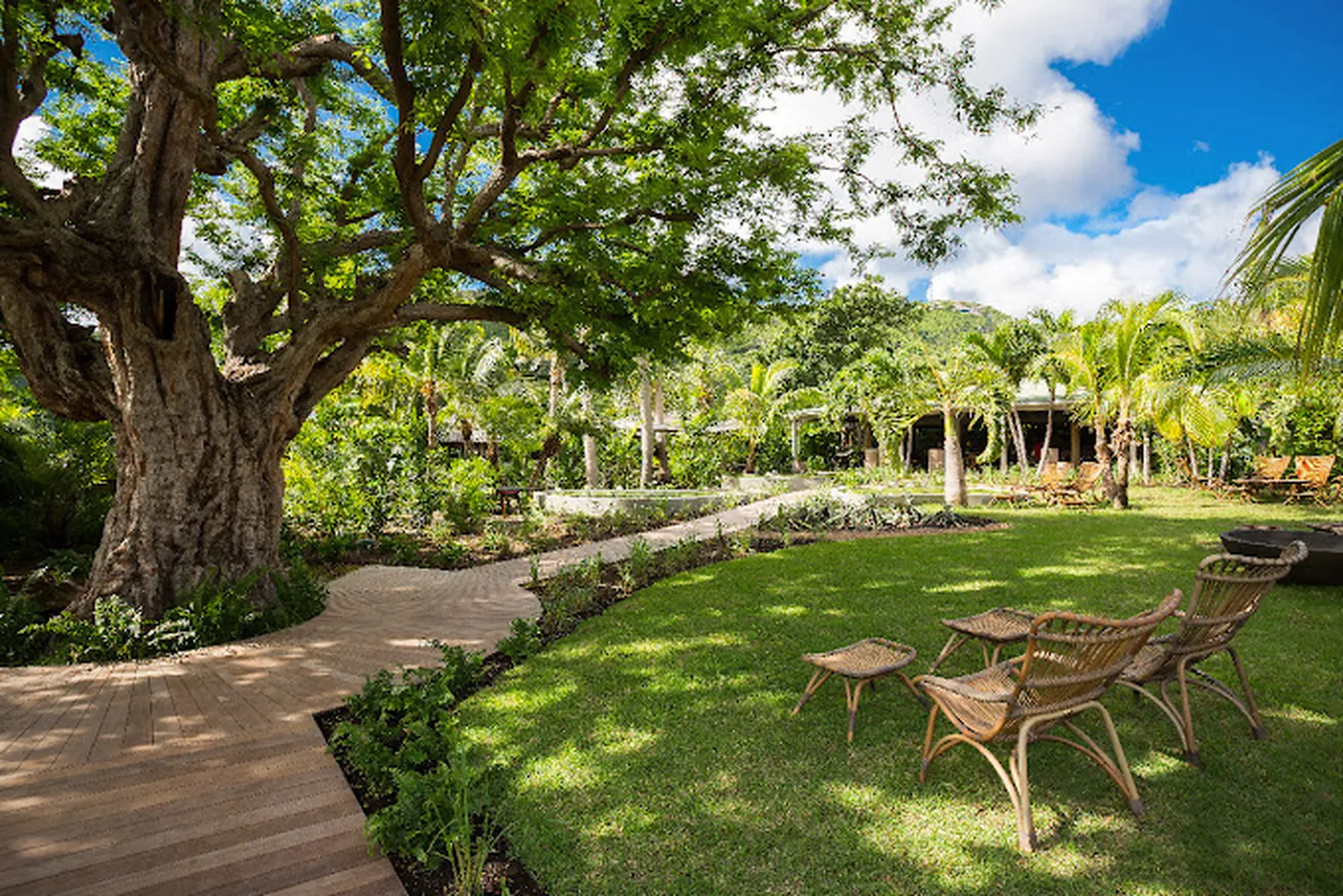 Le Tamarin restaurant St Barths