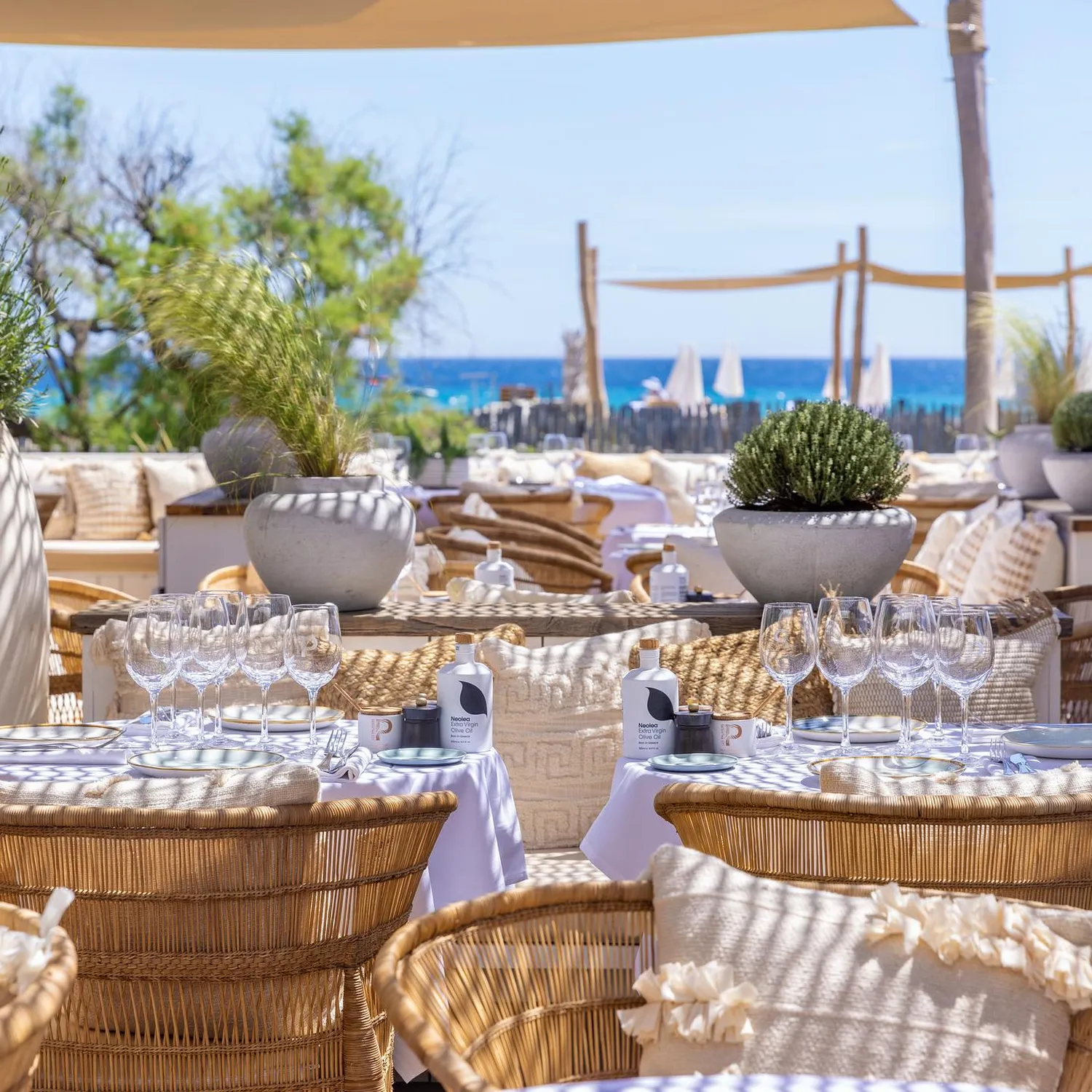 Les Palmiers Club restaurant St Tropez