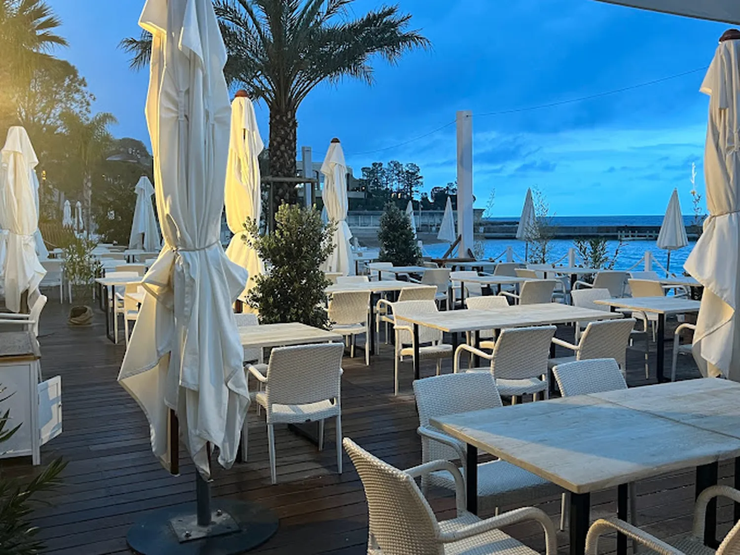 Miami Plage restaurant Monaco