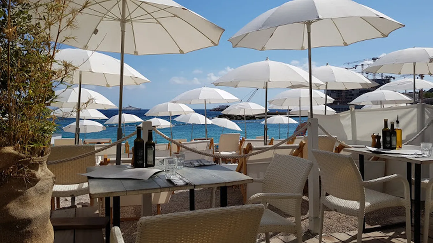 Miami Plage restaurant Monaco