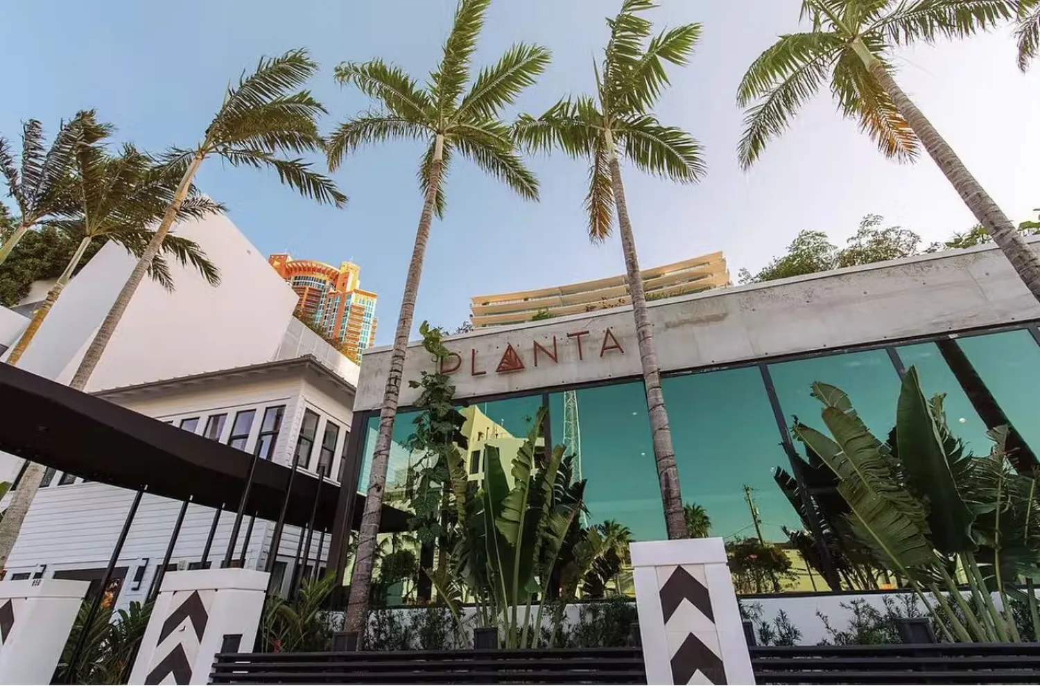 Planta restaurant Miami