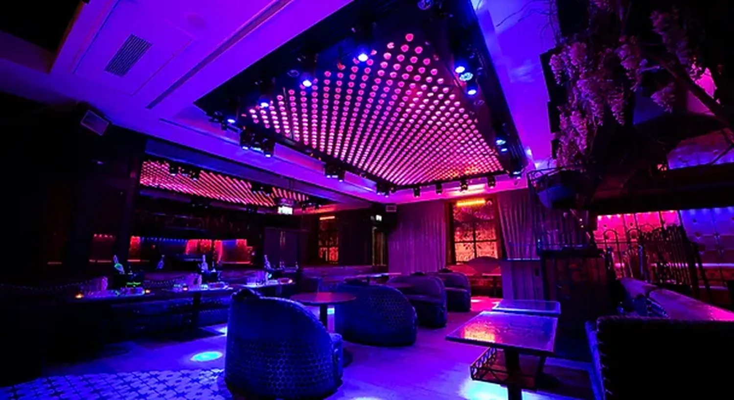 The Cuckoo nightclub London