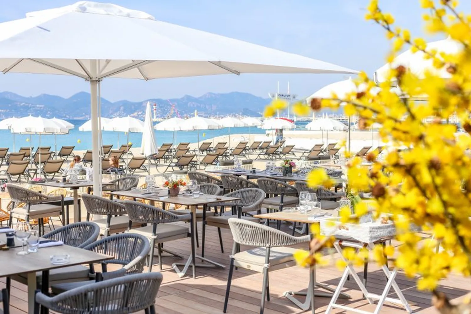 Vegaluna restaurant Cannes