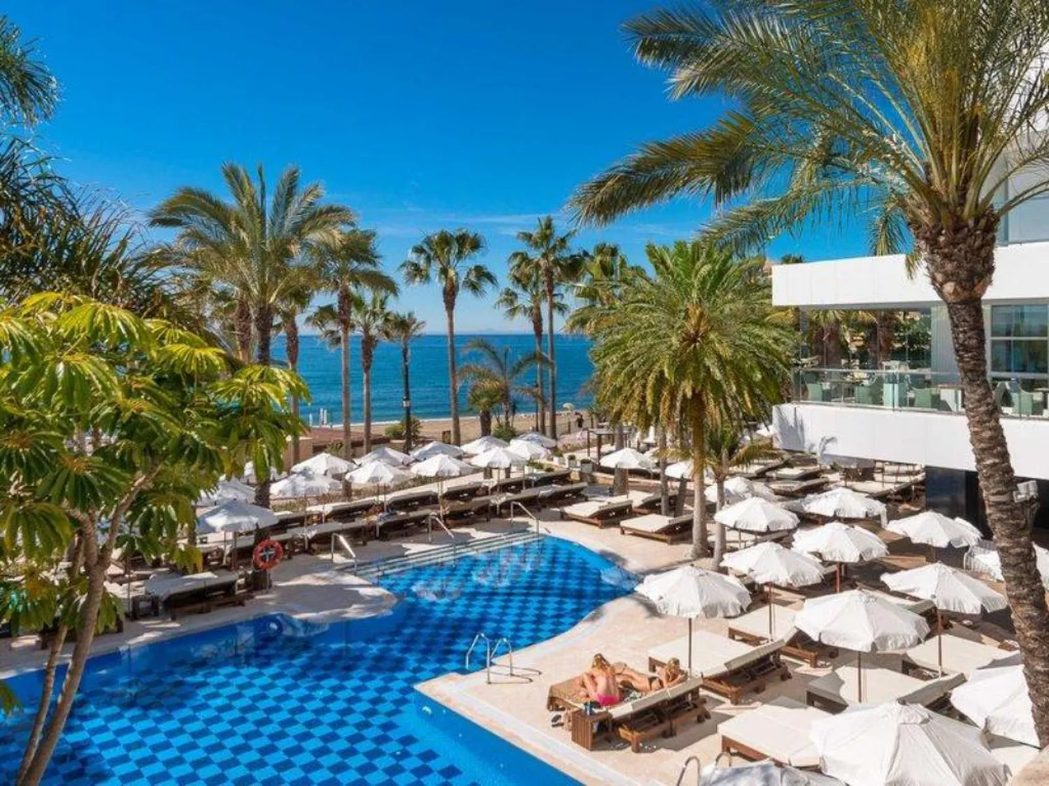 Amare Beach Club restaurant Marbella