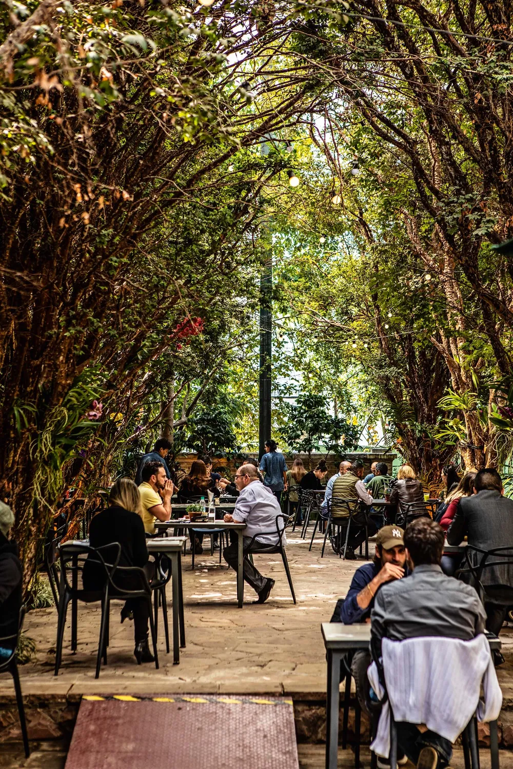 Amazo restaurant São Paulo