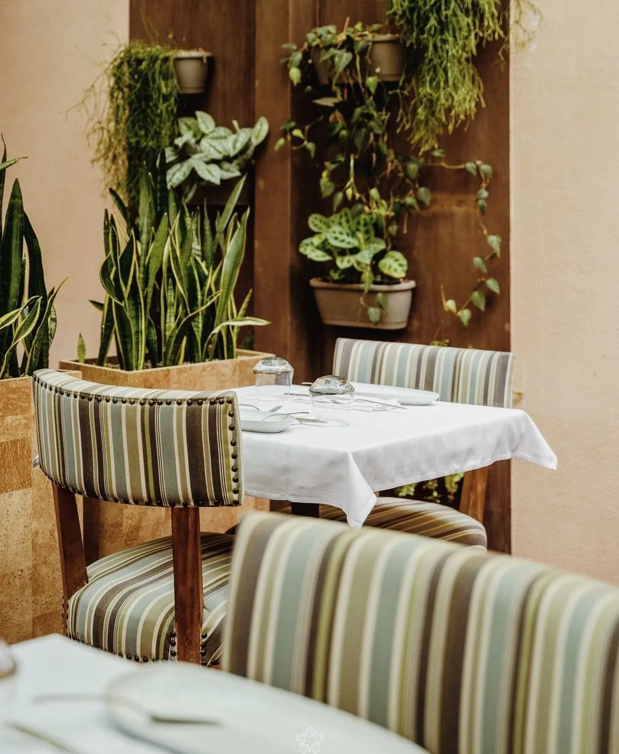 Descobre restaurant Lisbon