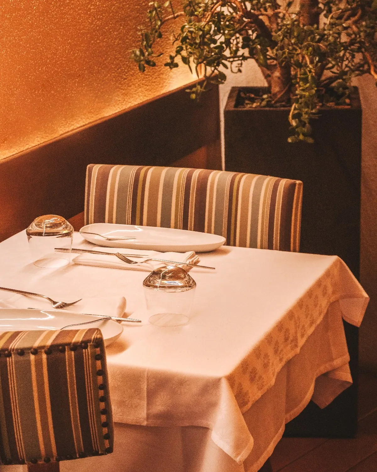 Descobre restaurant Lisbon
