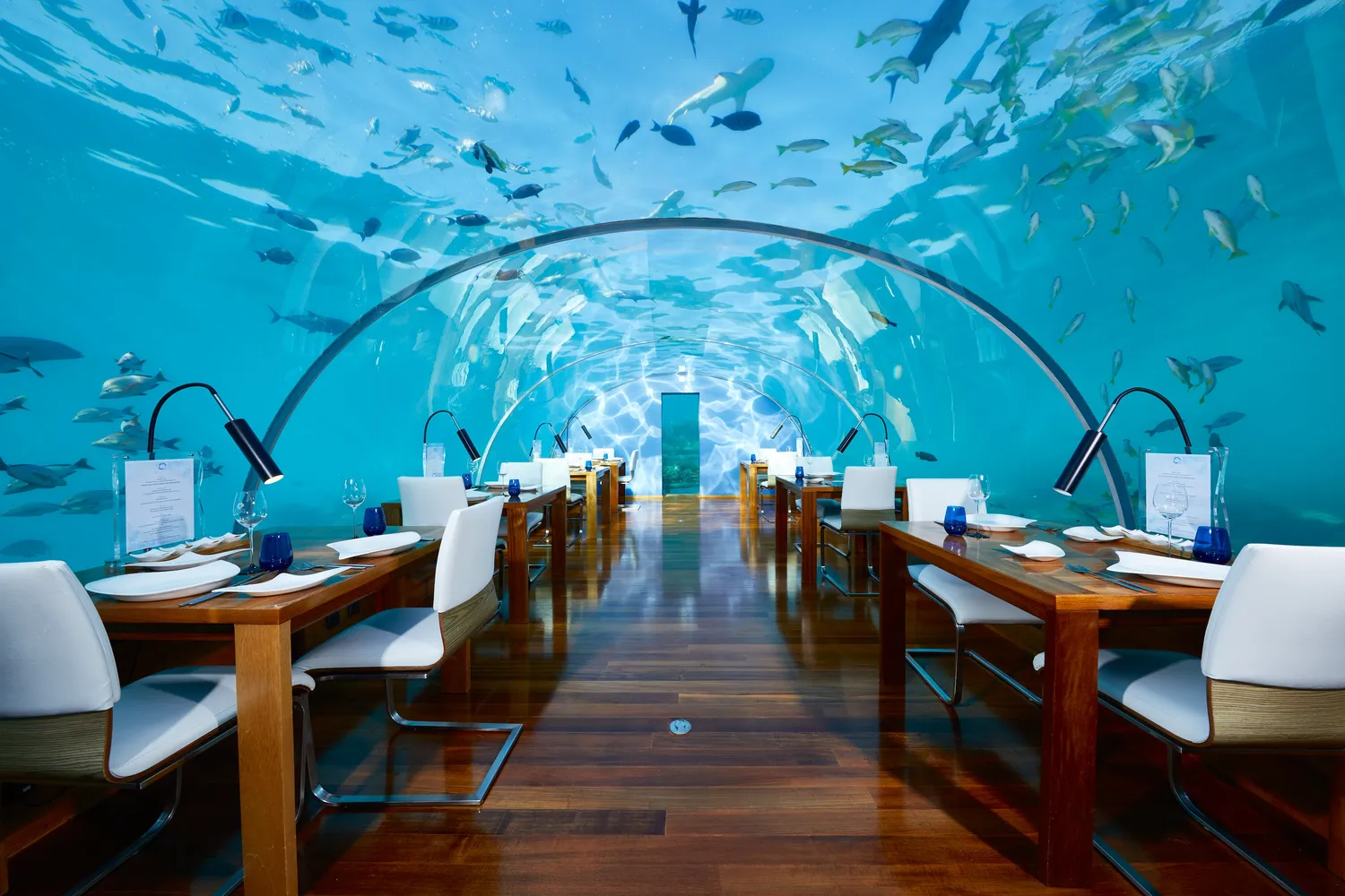Ithaa restaurant Maldives