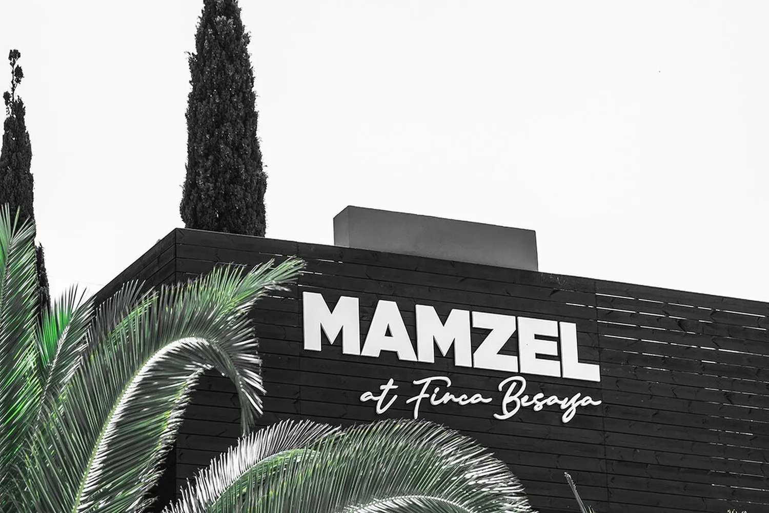 Mamzel restaurant Marbella