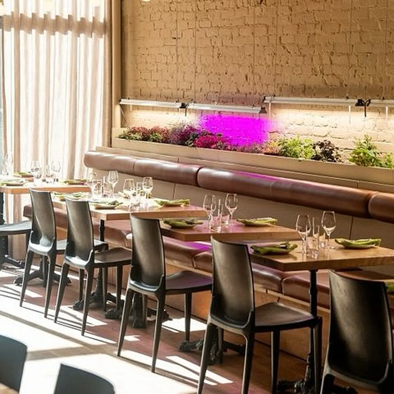 O-Thym restaurant Montreal