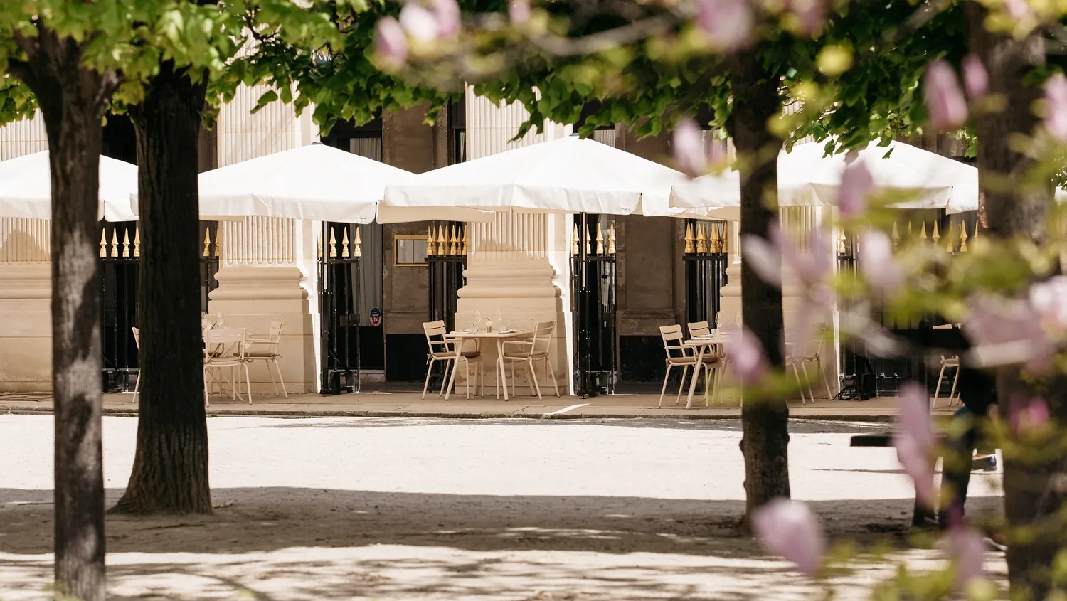 Palais Royal restaurant Paris