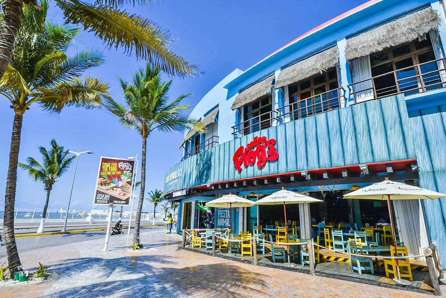 Señor Frog's restaurant Playa del carmen