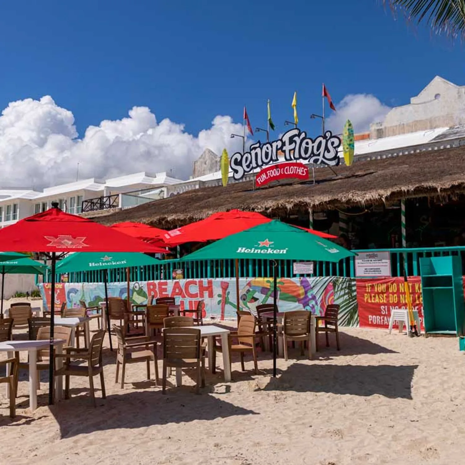 Señor Frog's restaurant Playa del carmen