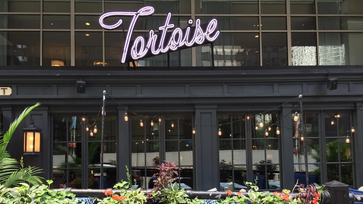 Tortoise restaurant Chicago