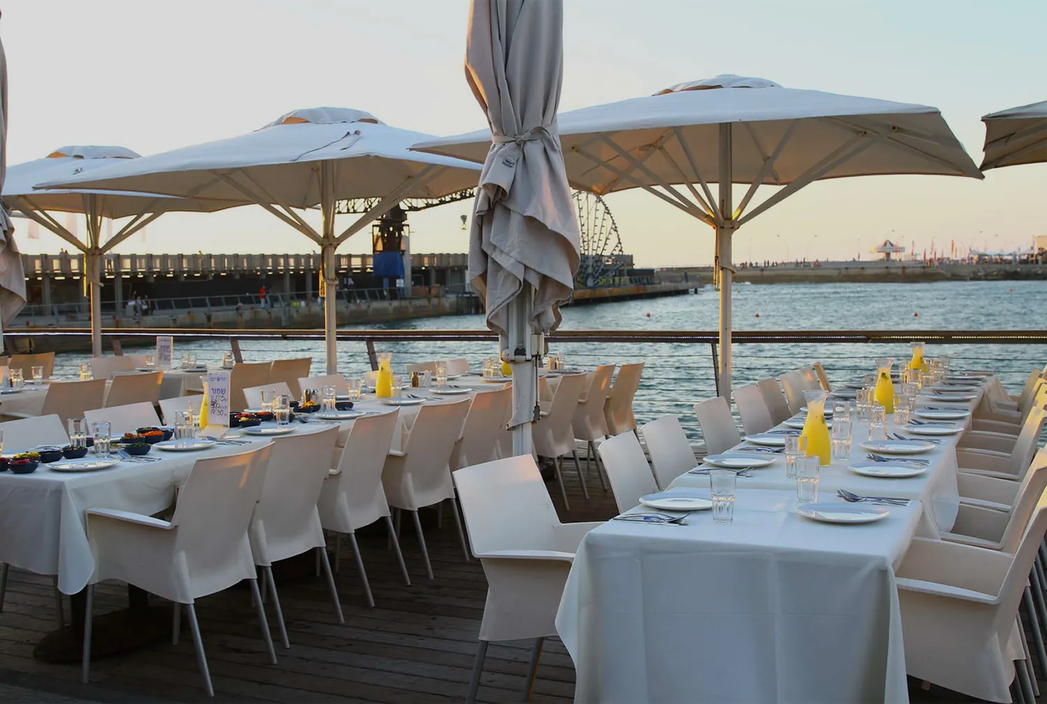 White Pergola restaurant Tel Aviv