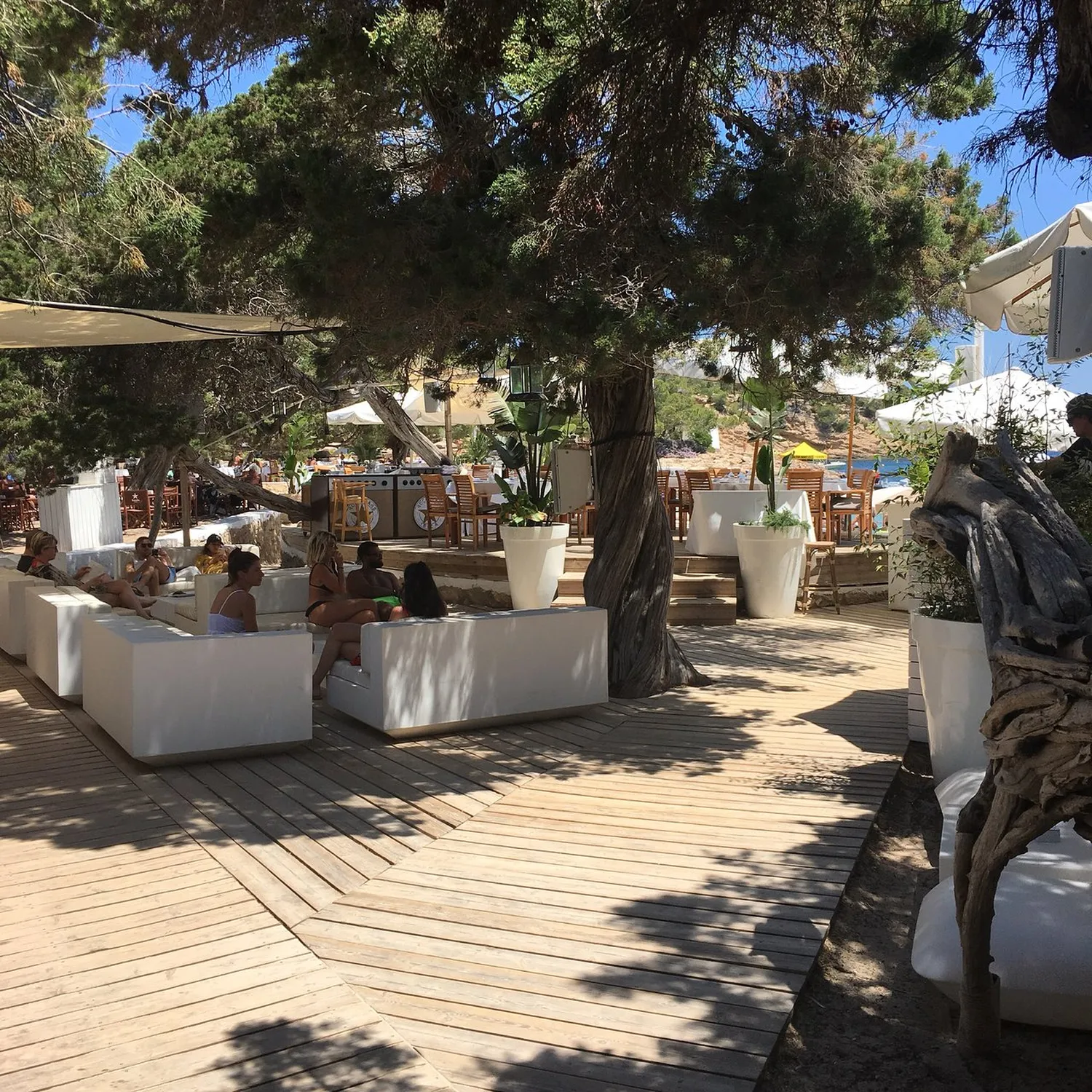 Cala Bassa restaurant Ibiza