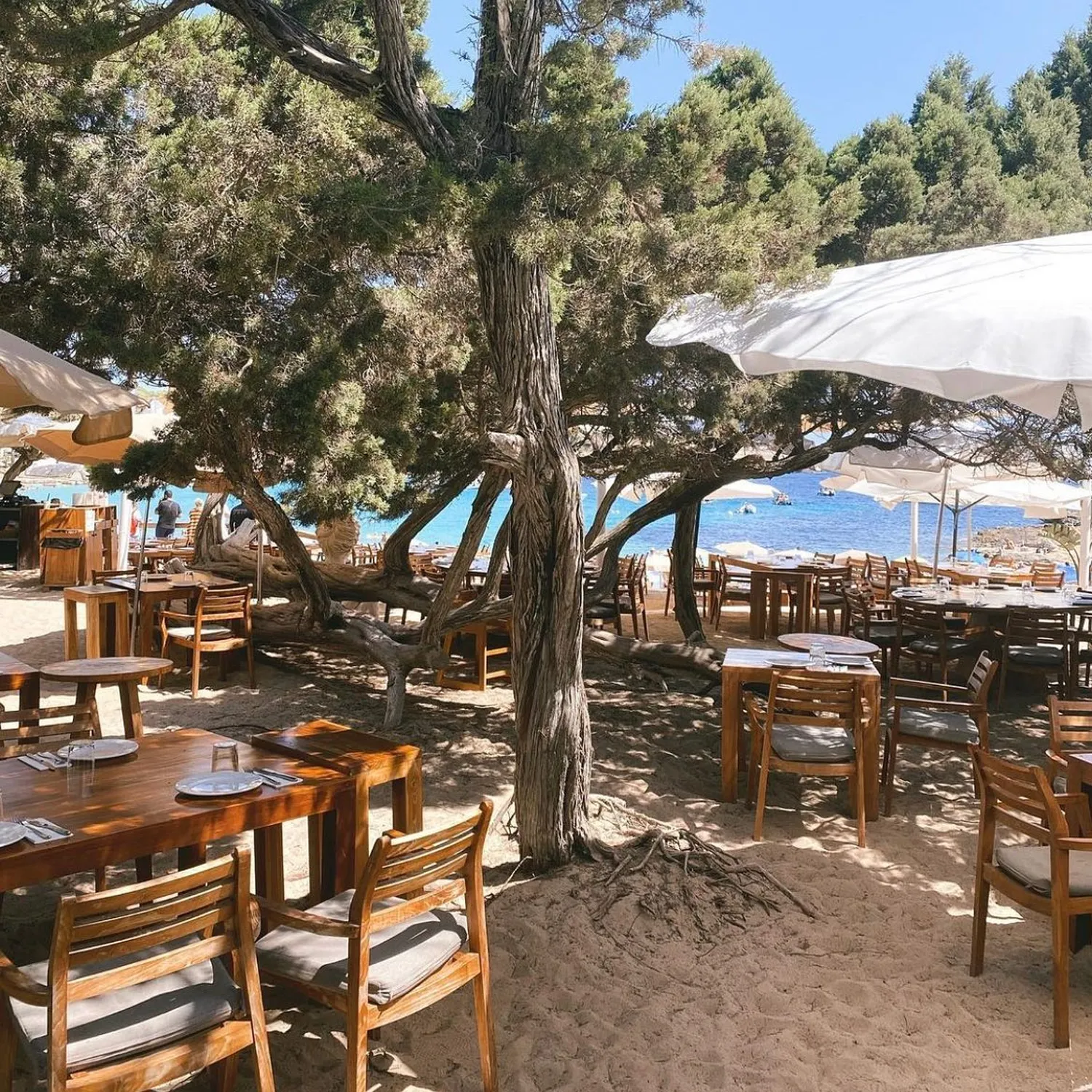 Cbbc restaurant Ibiza