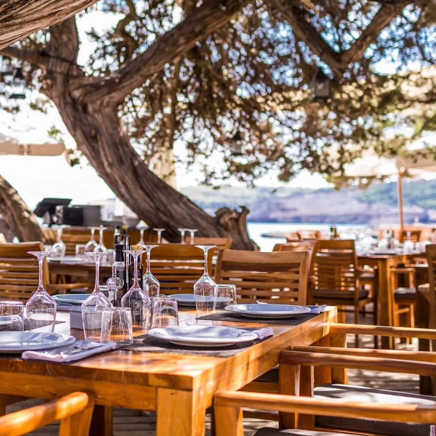 Cbbc restaurant Ibiza