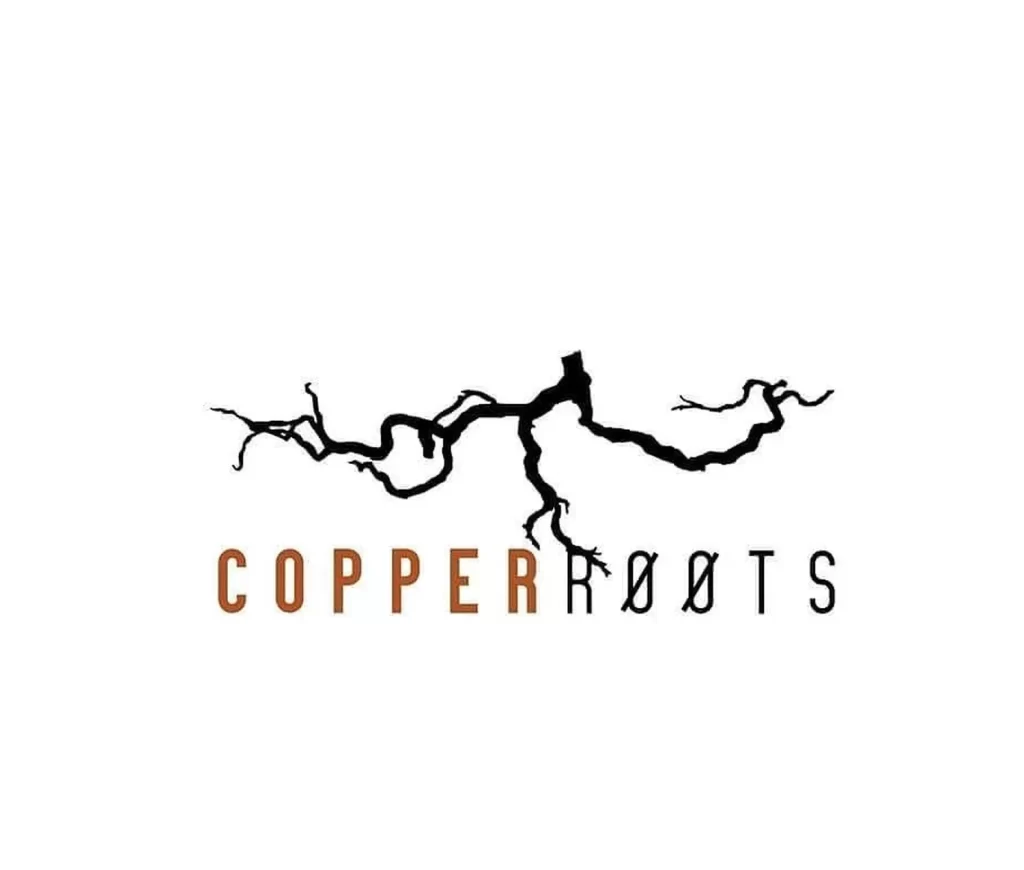 Copper Roots restaurant Lyon