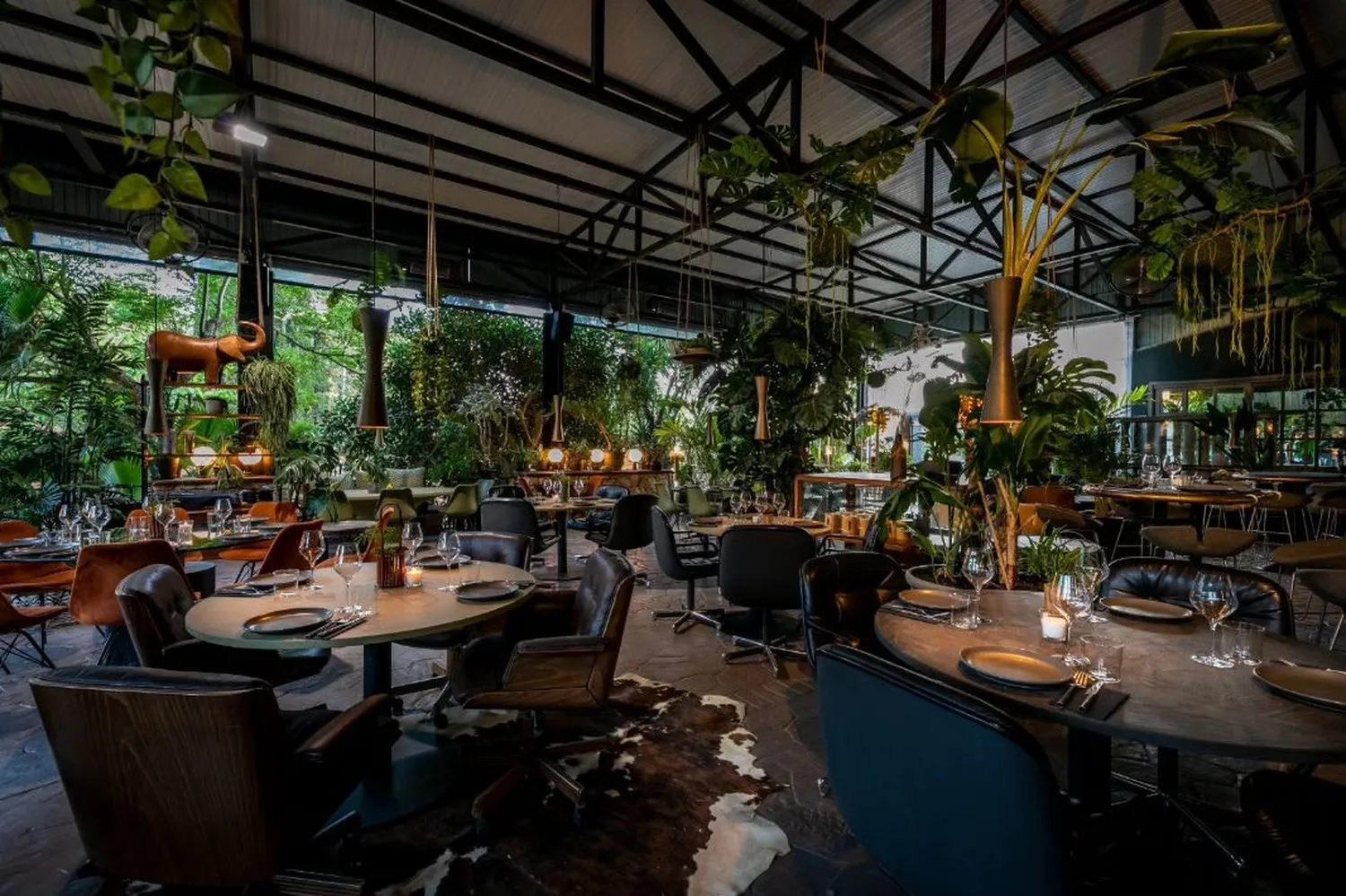 House of Wow restaurant Ibiza