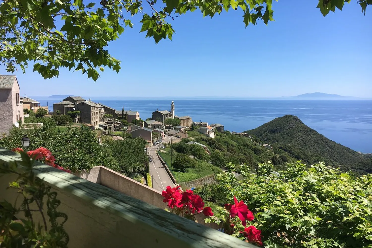 La table de la Corniche restaurant Bastia