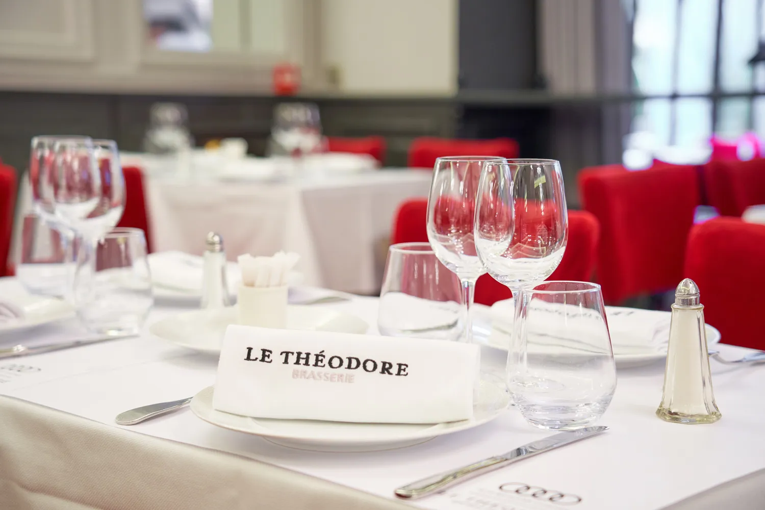 Le Theodore restaurant Lyon