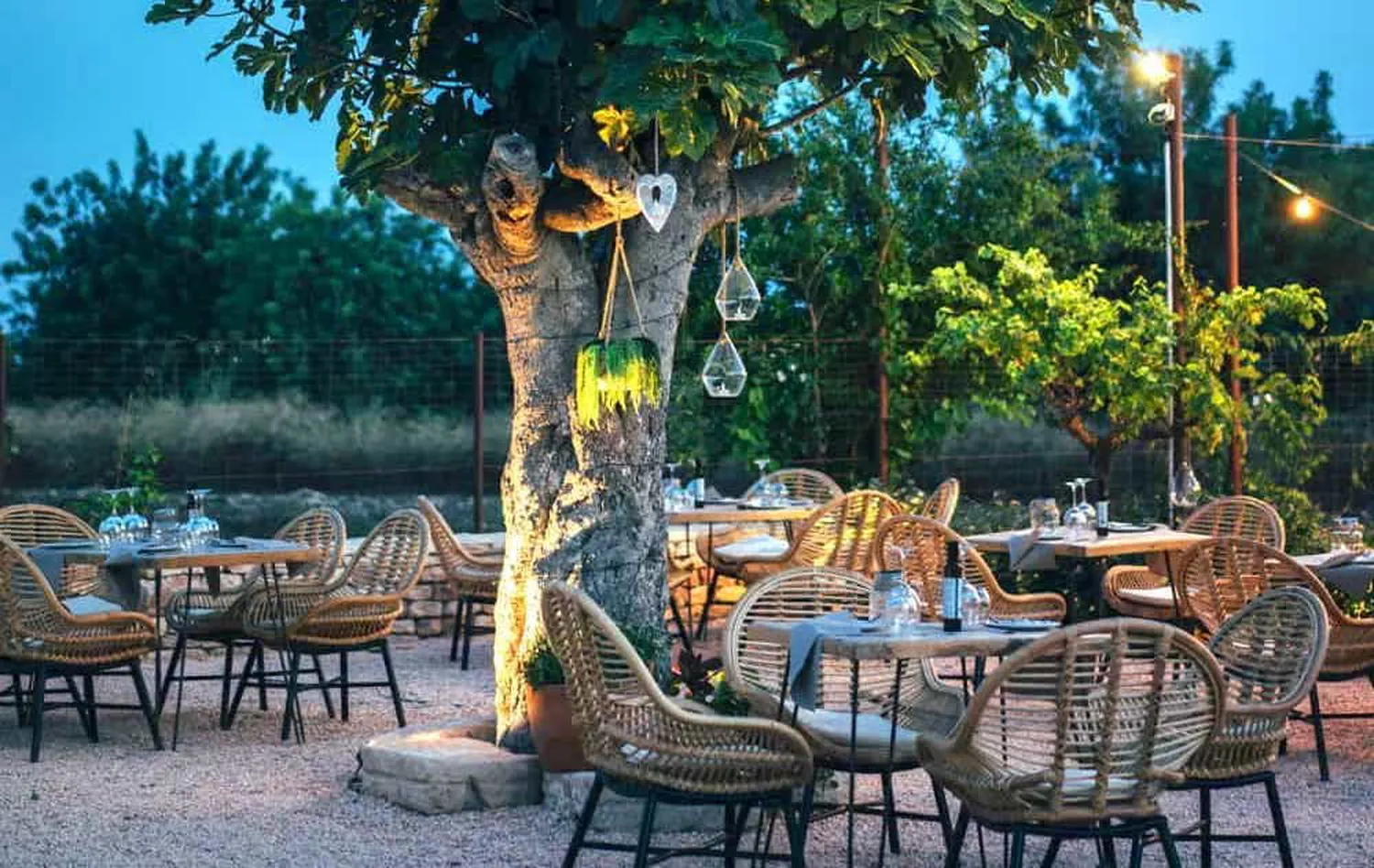 Les Terrasses restaurant Ibiza