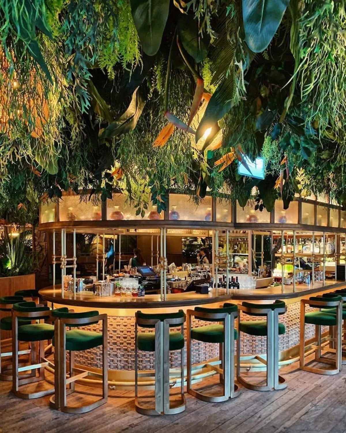 Reservation at AMAZONICO restaurant - London | The World Keys