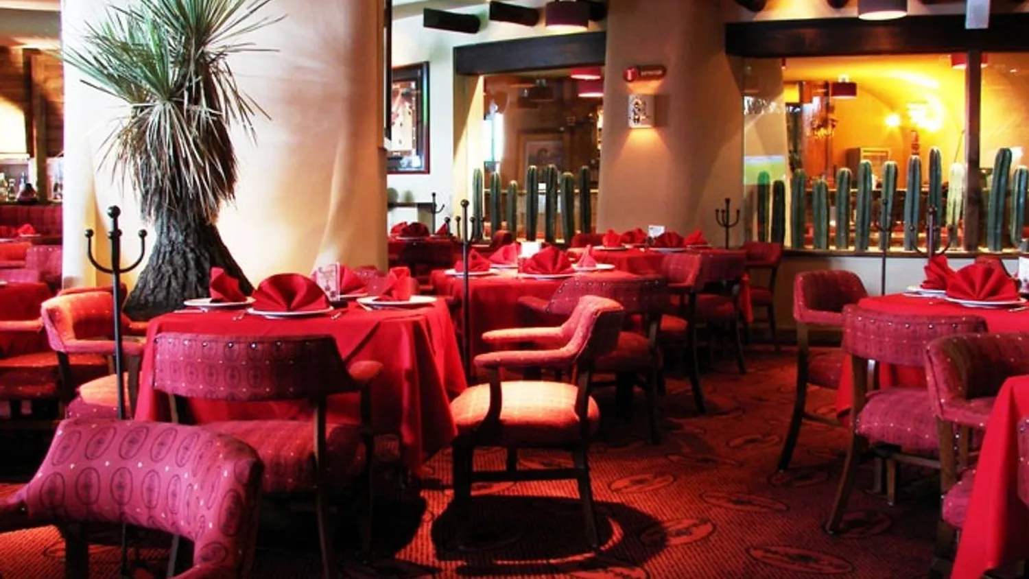Angus Butcher House Restaurant Mexico City