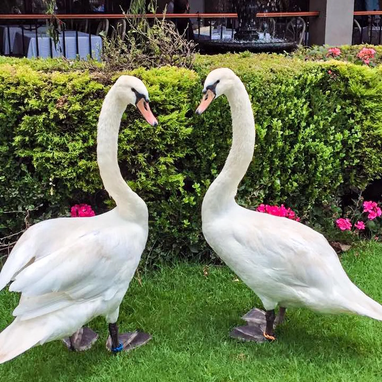 Antigua Hacienda de Tlalpan restaurant Mexico City