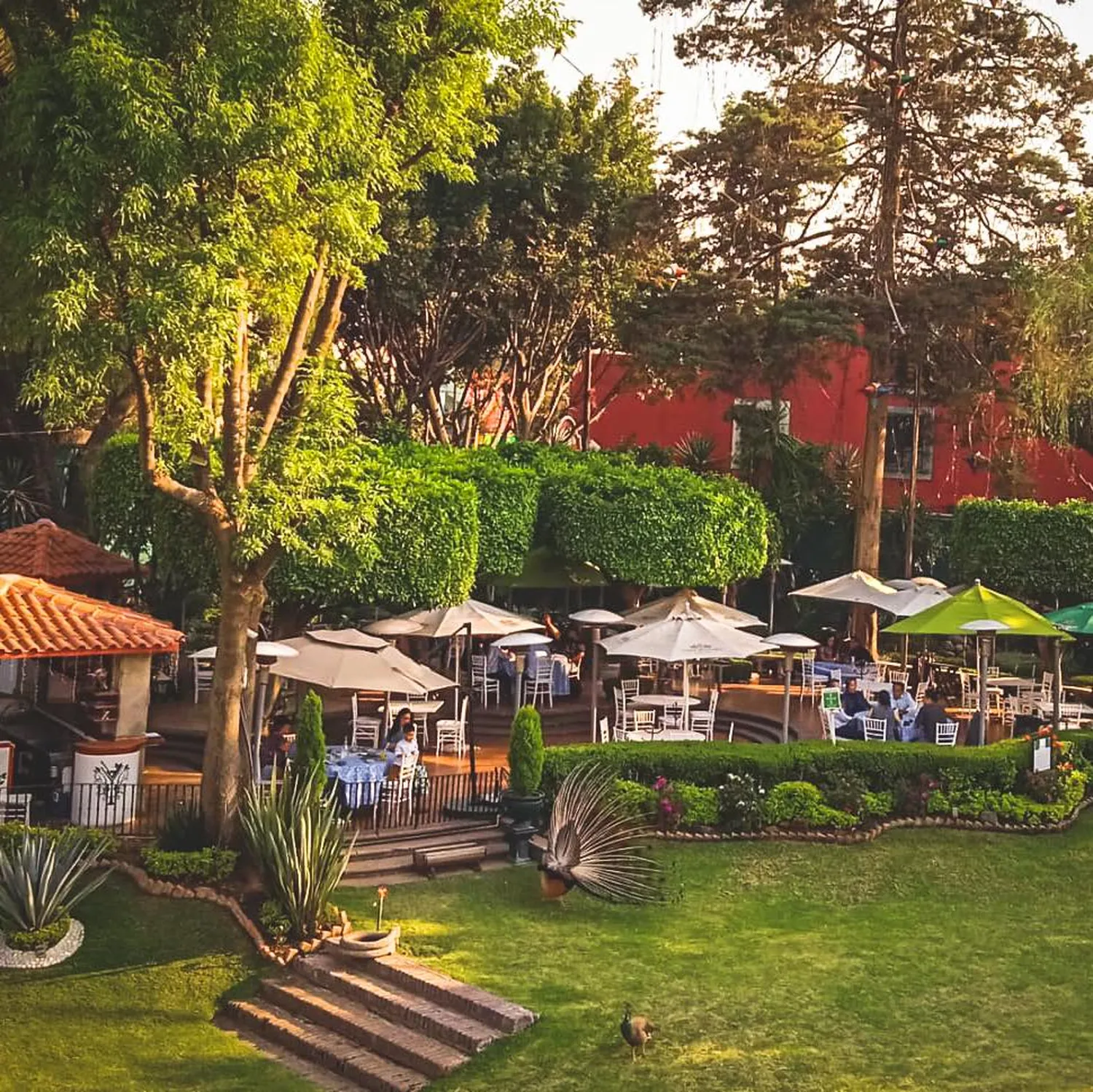 Antigua Hacienda de Tlalpan restaurant Mexico City