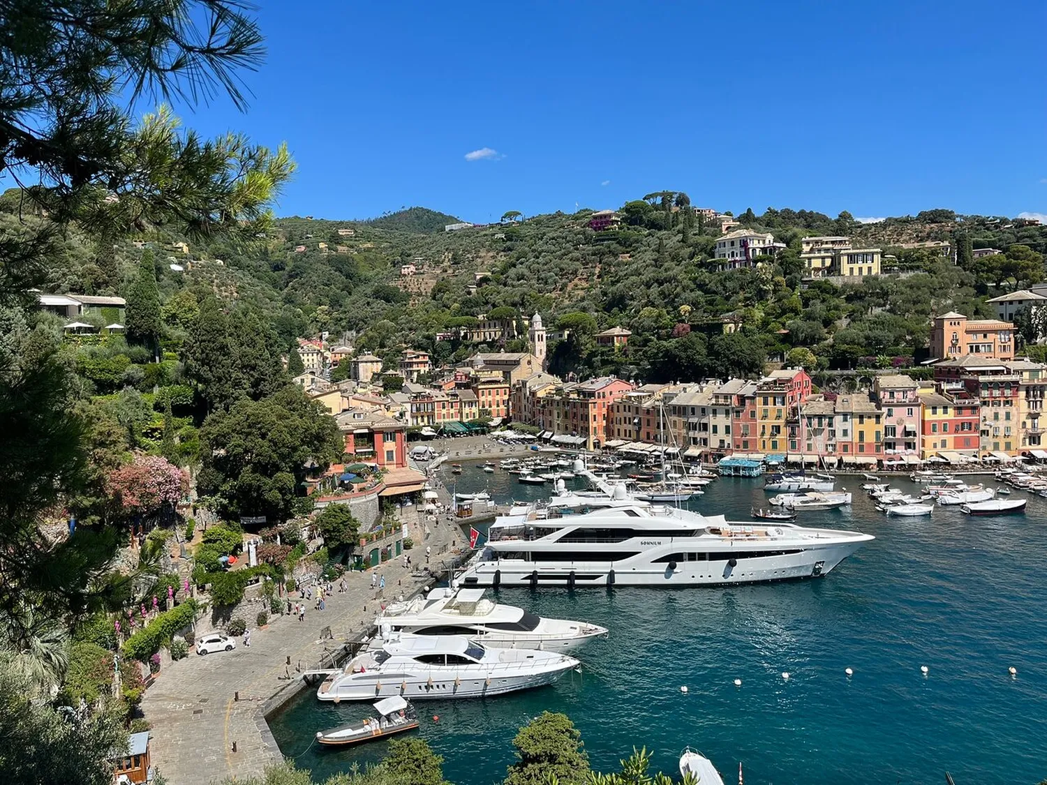 Bagni Rosa restaurant Portofino