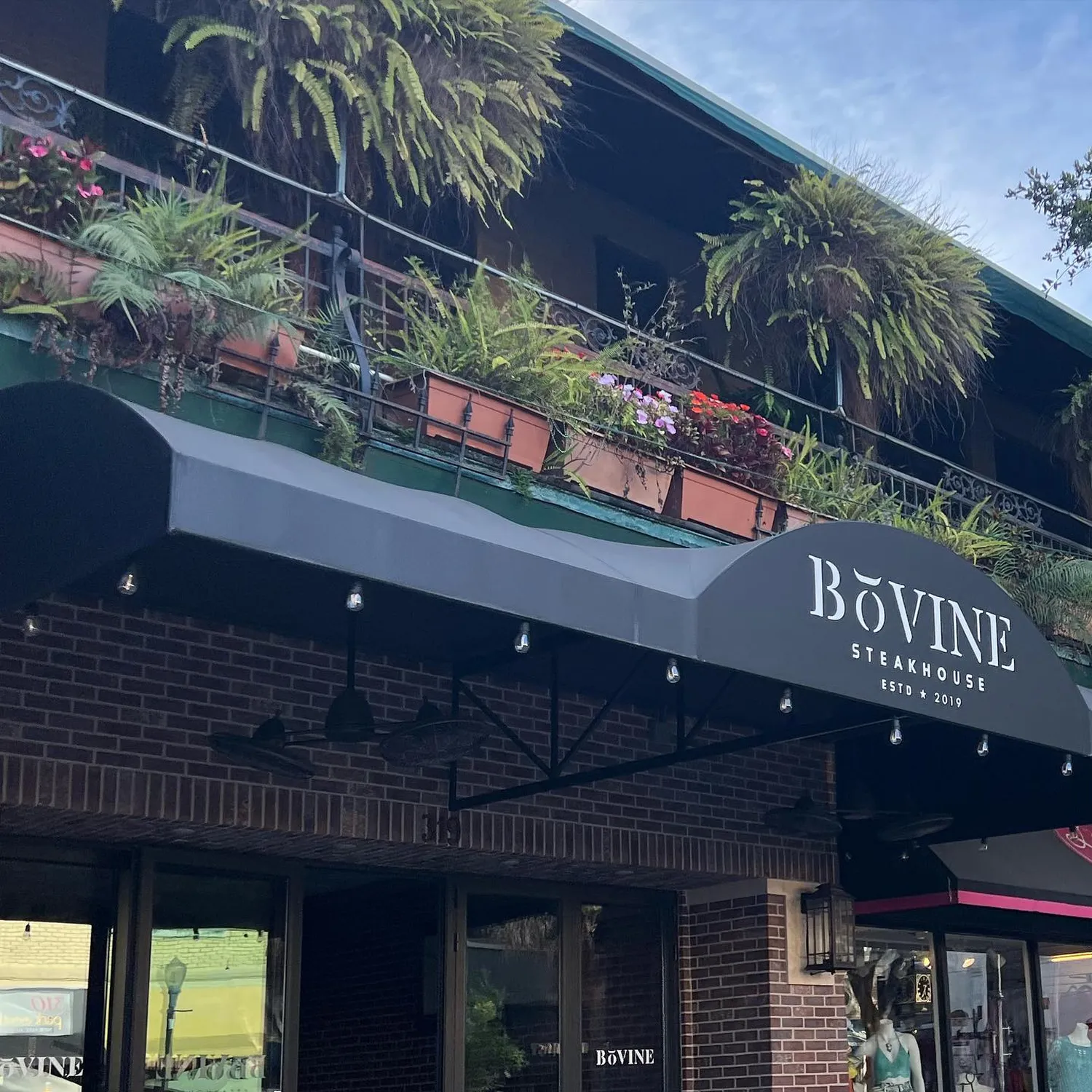 BoVine restaurant steakhouse Orlando