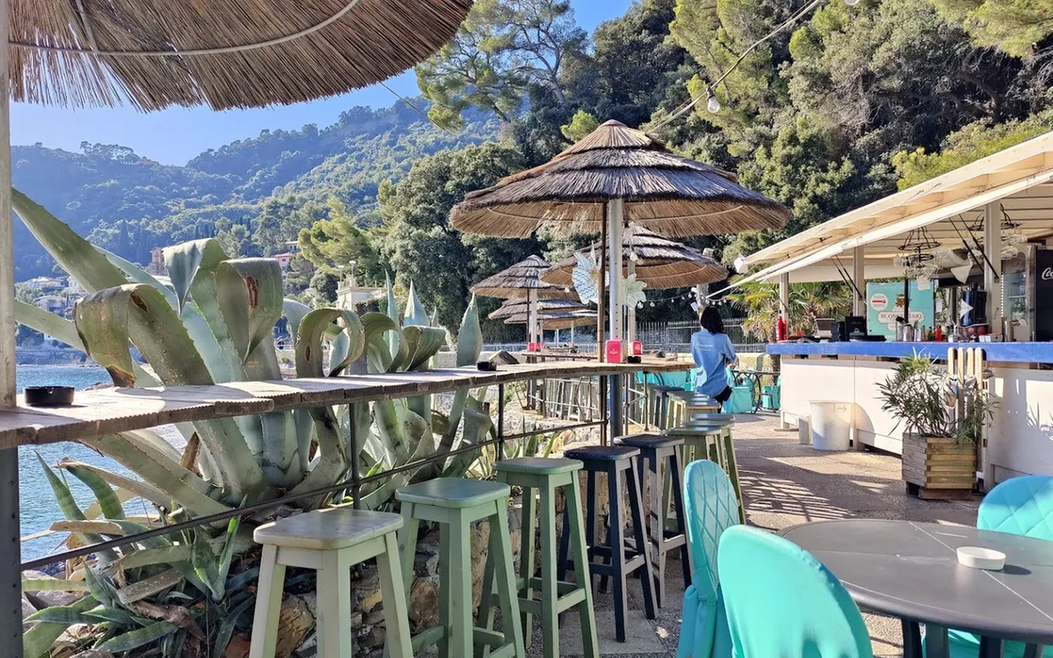 Buongustaio restaurant Portofino