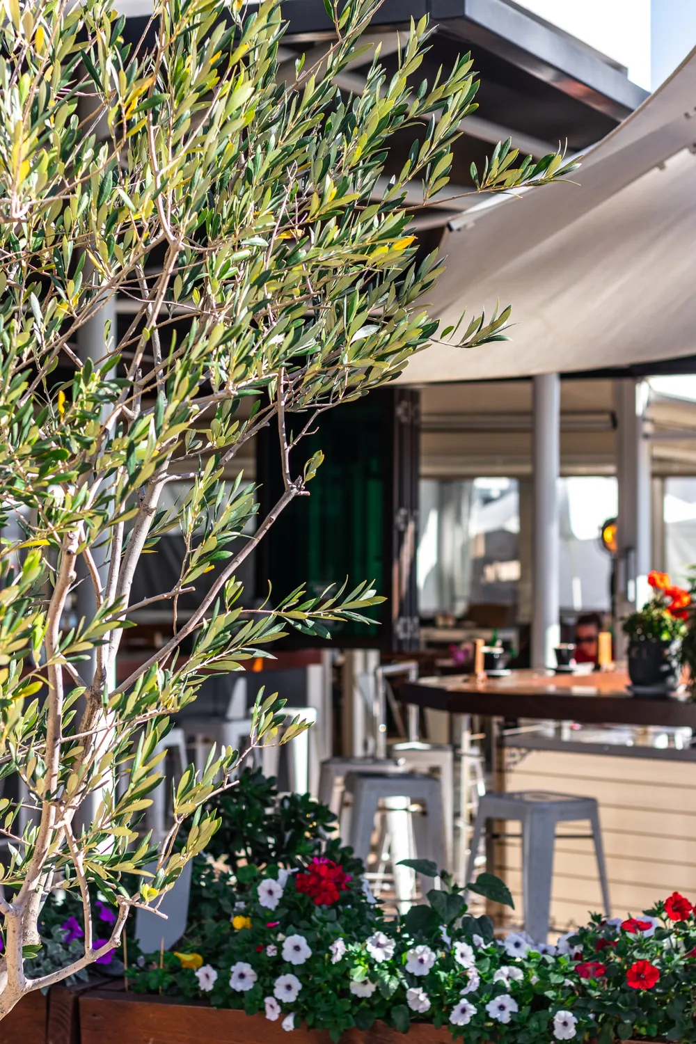 Catalina restaurant Gold Coast