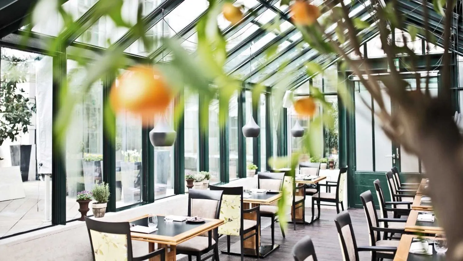 Clementine restaurant Vienna