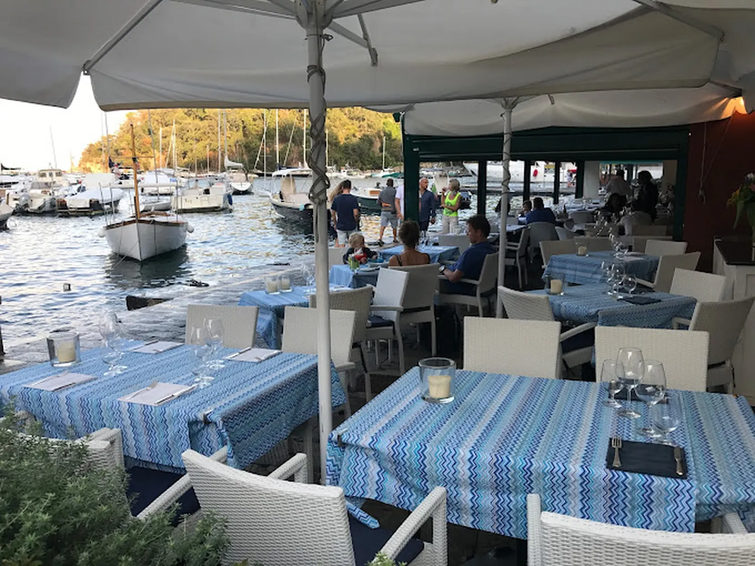 Delfino restaurant Portofino