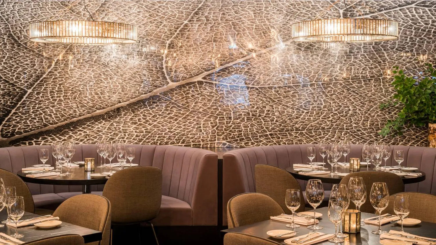 Gaucho restaurant London