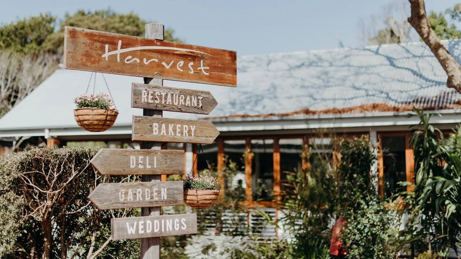 Harvest Restaurant Byron Bay