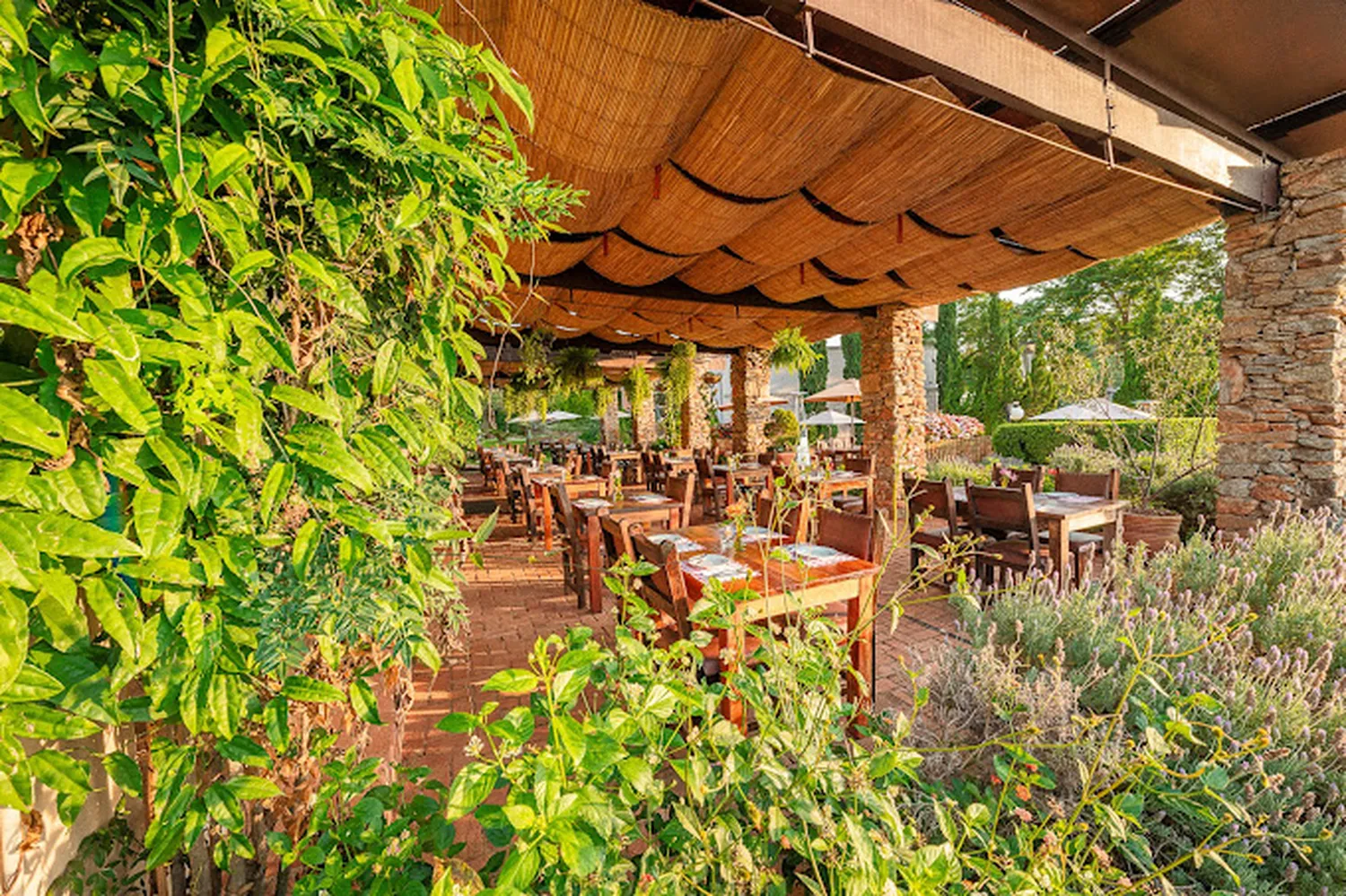 La Terrassa restaurant São Paulo