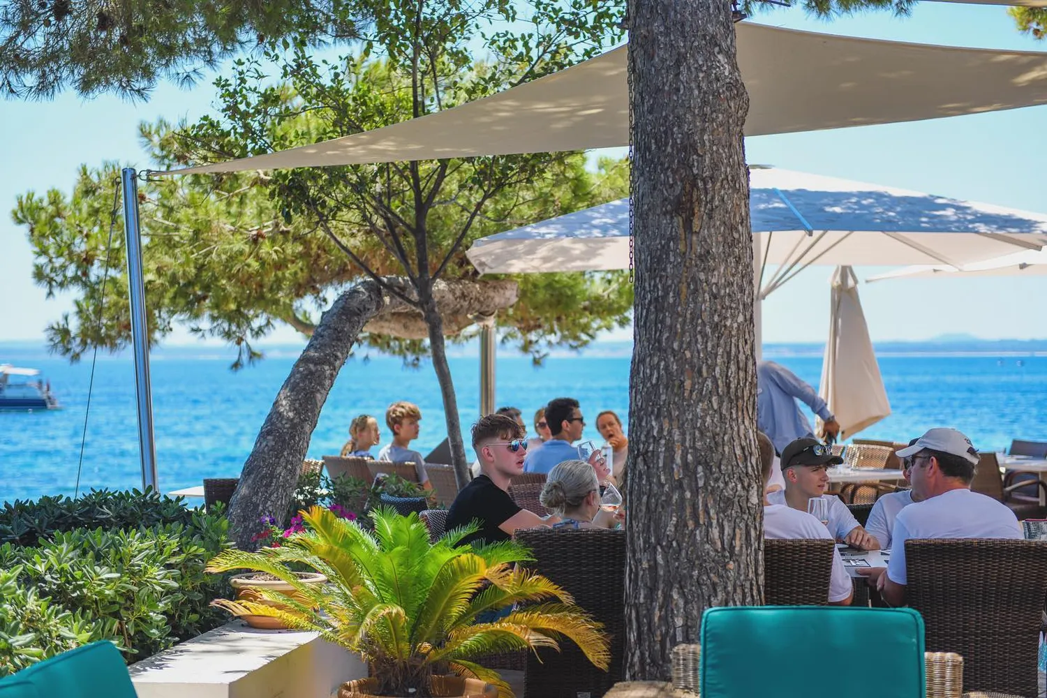 La Terraza Alcanada restaurant Maiorca