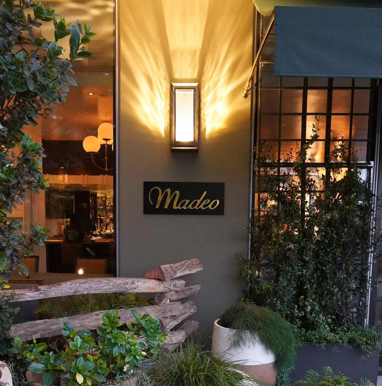 Madeo restaurant Los Angeles