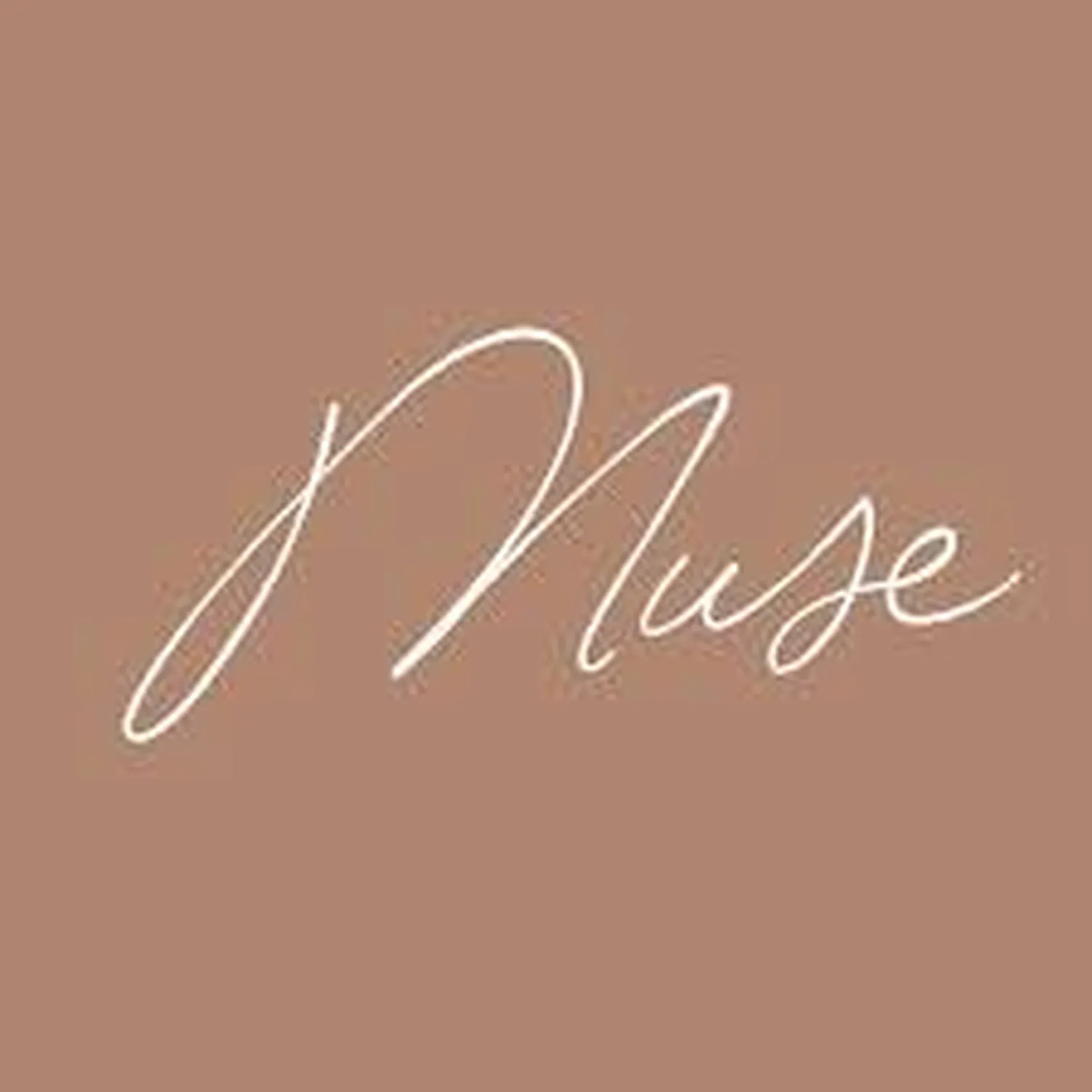 コレクション museで テキストに ハイライト