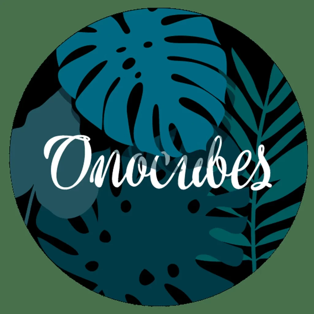 Onocubes restaurant Francfort