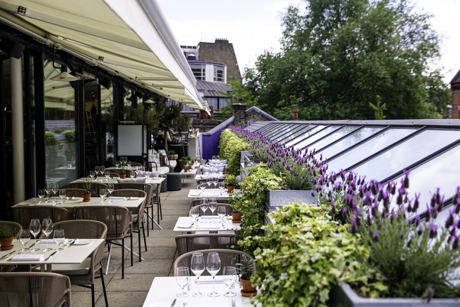 Orrery restaurant London