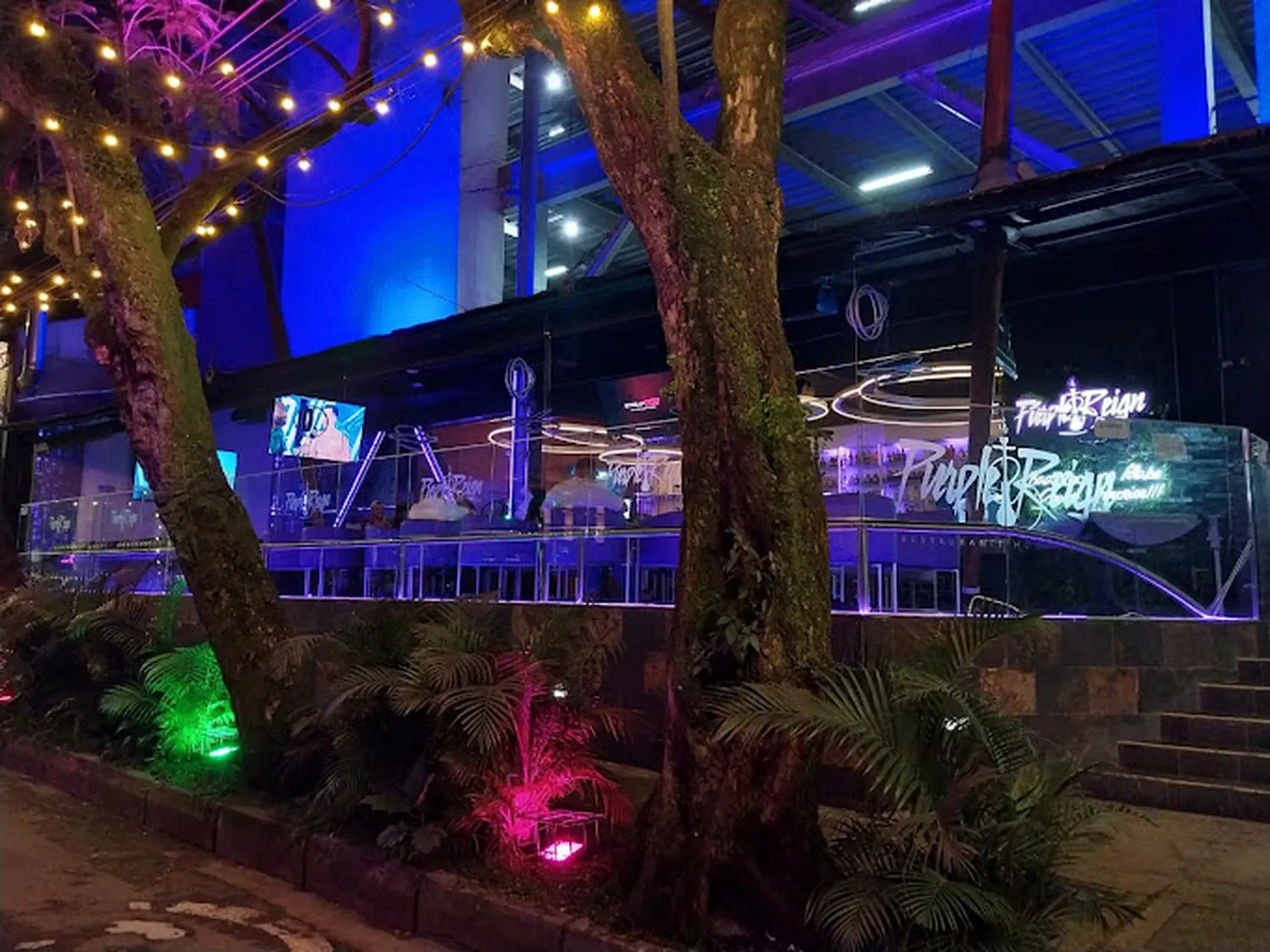 Purple Reign Restaurant Medellin